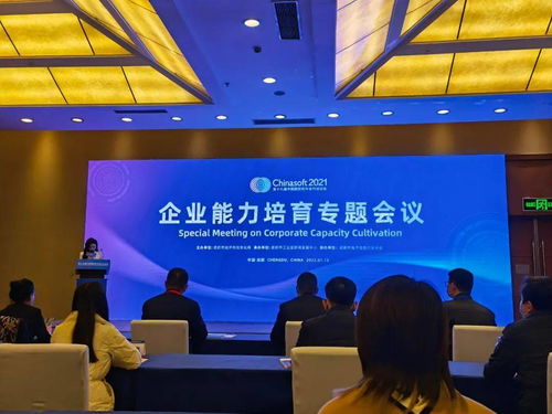 中科大旗荣膺成都市软件和信息技术服务企业能力成熟度三级证书，彰显卓越技术服务实力